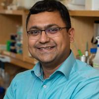 MDI Bio Lab to train leaders in regenerative medicine