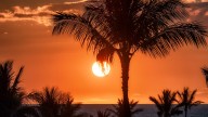 Beaufort, SC named one of America’s most beautiful towns by Condé Nast Traveler