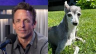 Seth Meyers Announces the Death of His Dog Frisbee at 14