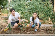 Momentum Grows For Farm-To-School Programs In Hawaiʻi