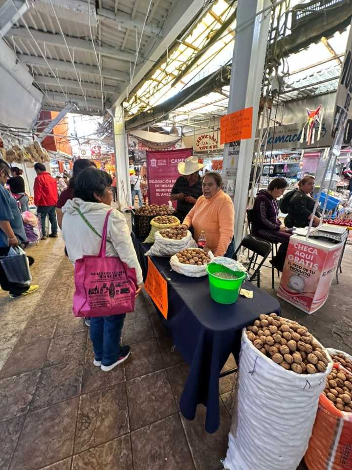 Productores de nuez de Castilla de Atlautla venderán sin intermediarios en la Central de Abasto de Ecatepec