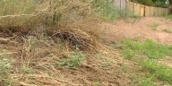 Phoenix homeowners demand cleanup of hazardous wash behind their homes