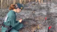 Descubren a dos vecinos de Santiago preparando una barbacoa en plena alerta máxima por riesgo de incendio