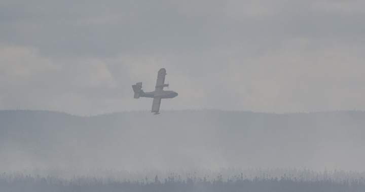Newfoundland police charge man with arson for starting brush fires amid ban
