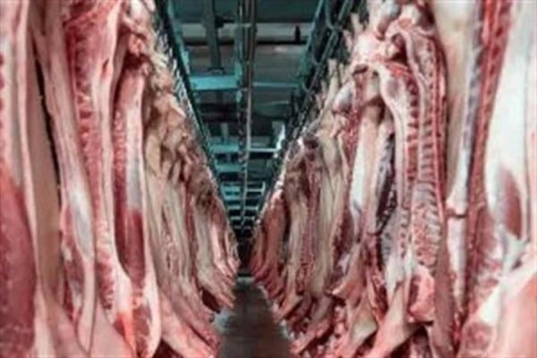 Activan mecanismo laboral contra Alimentos Grole
