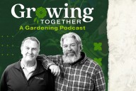 What's in the listener mailbag? Horned caterpillars, neglected lawns, apple trees and more