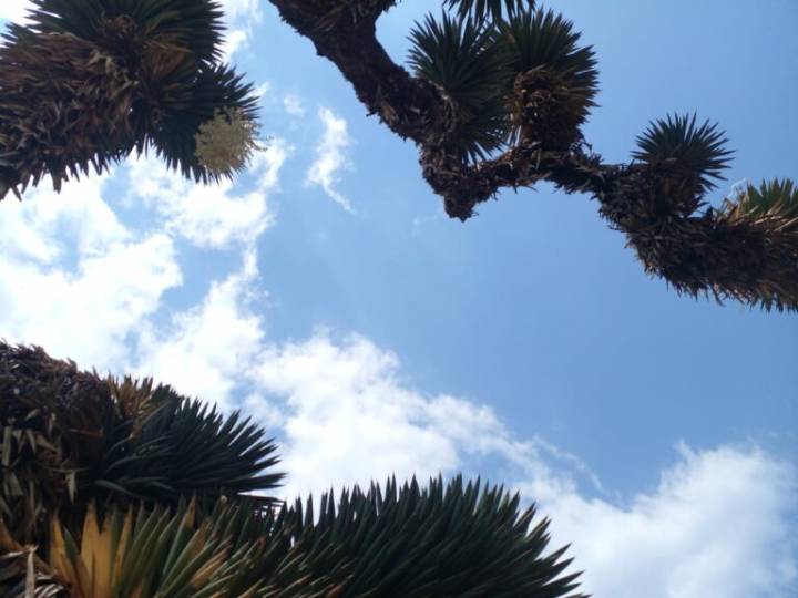 Pronóstico del clima en Hidalgo: lluvias y calor, una combinación para hoy 11 de agosto en el estado