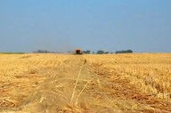 Above-average temperatures, dry conditions welcome as harvest approaches