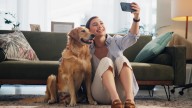 Make Your Furry Friend The Focal Point Of Your Bathroom With DIY Decor