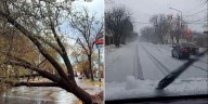La tormenta de Santa Rosa golpeó fuerte en Mendoza y también afectó a provincias del norte y Cuyo: evacuados, granizo y árboles caídos