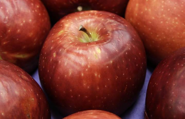 Cosmic Crisp is now the fifth-most produced apple variety in WA
