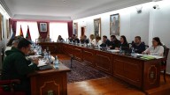 Los técnicos de Arona tumban el pliego para mantener las zonas verdes