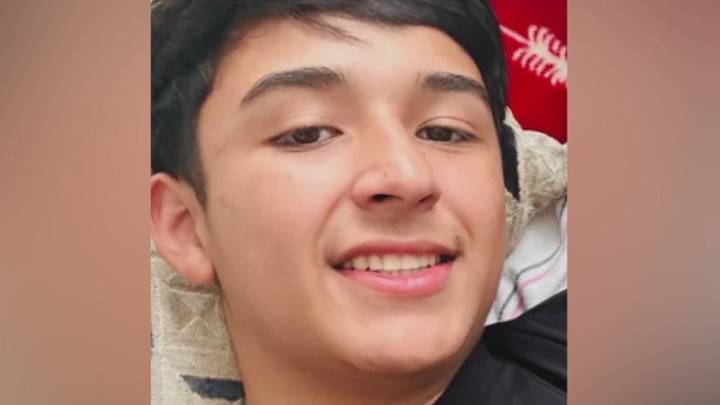 High schooler detained by ICE while walking dog