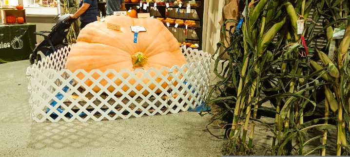 From the Editor: Enjoy the 2025 State Fair of West Virginia