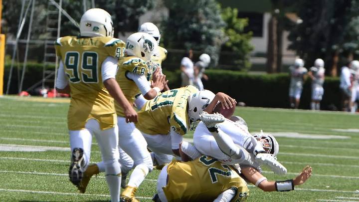 Potros Salvajes cae en todas sus categorías en semifinales de la ONEFA