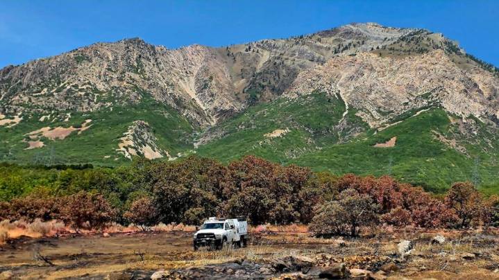 Willard Peak Fire evacuations downgraded to a 'green' status