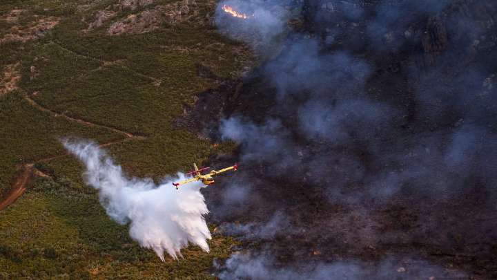 Galicia: como si 87.000 campos de fútbol fueran arrasados