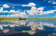 Cocodrilos, pantanos y aventura en los Everglades