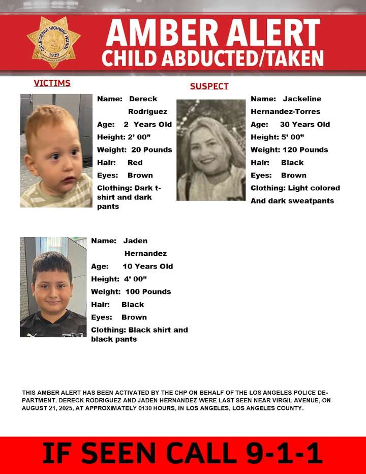 Amber Alert for a Critical Missing Incident: Two Foster Brothers Abducted