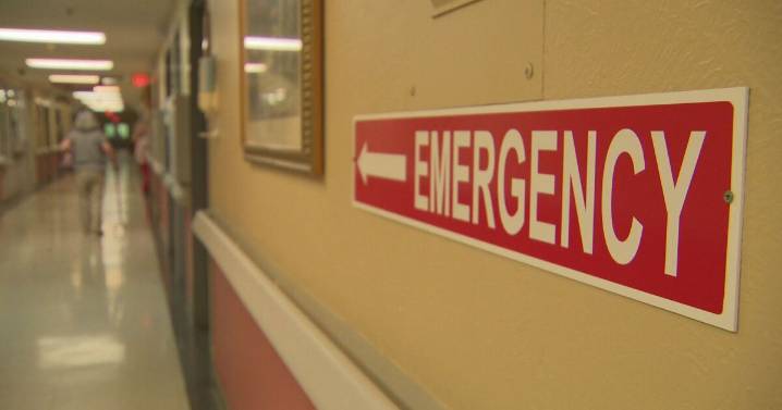 Pulaski woman recovering from two