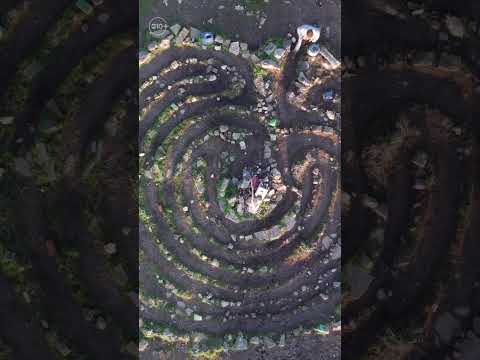 Above California | A look at the Albany Bulb