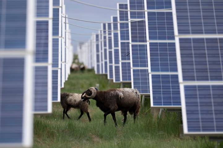China rushes to build out solar, and emissions edge downward