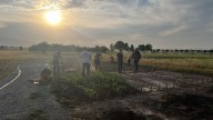 Utah State University students create Indigenous garden with professor with Shoshone roots
