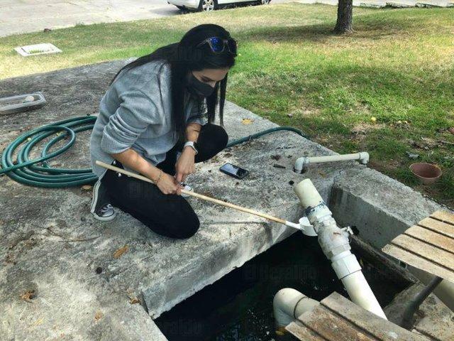 Aguascalientes intensifica medidas contra el dengue