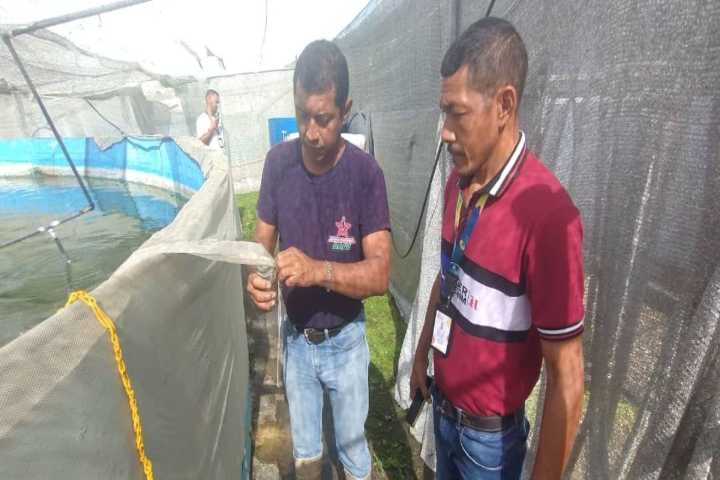Mincyt imparte conocimientos a investigadores sobre reproducción inducida de peces reófilicos