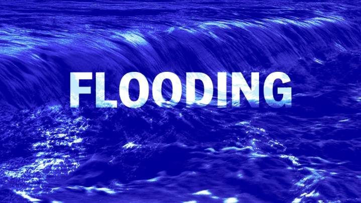 Mother, father and child killed by fallen tree in Tennessee heavy rains and flooding