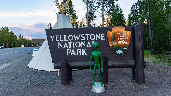 Those Green Aliens Along The Road To Yellowstone A Tribute To Wapiti Vietnam Vet