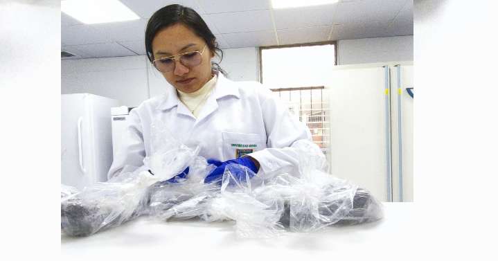 Investigación con impacto: estudiantes UNALM llevarán la ciencia a Colombia y México