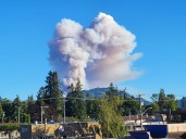 New wildfire south of Port Alberni