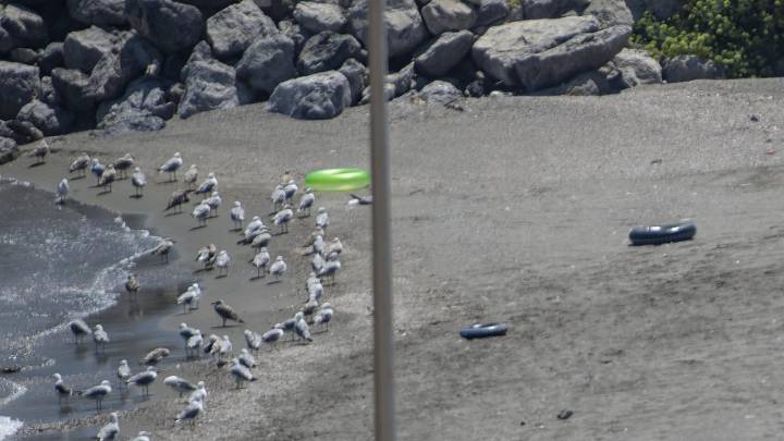 Nueva oleada de nadadores en Ceuta: "La entrada es permanente"
