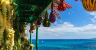 Met Office names this stunning European island the ‘perfect’ October holiday for warm weather