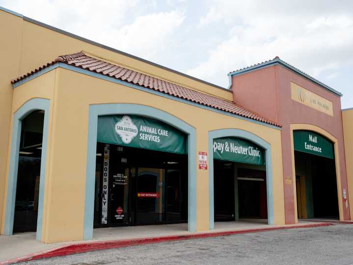 How to get your pet spayed or neutered for free in San Antonio