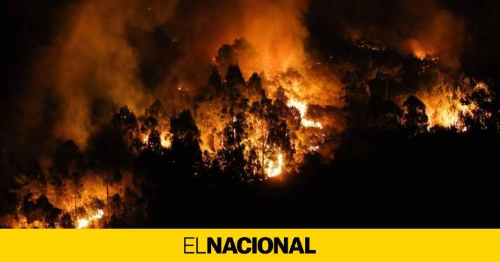 La Fiscalía relaciona la falta de planes de prevención con los incendios e insta a pedir responsabilidades