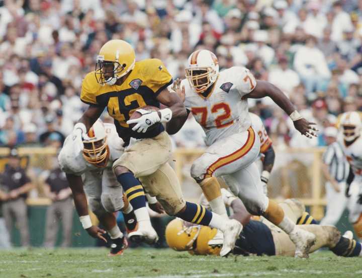 Former NFL running back LeShon Johnson convicted on dog fighting charges, gives up dogs
