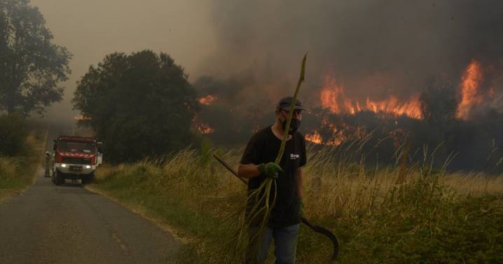 Cuatro bomberos heridos, uno grave, en las labores de extinción de los fuegos de Galicia
