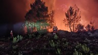 Condolencias del PSOE de Castilla y León por la muerte del bombero forestal en Espinoso de Compludo