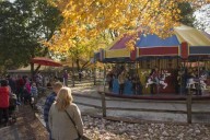 Suburban farms perfect for family fun year