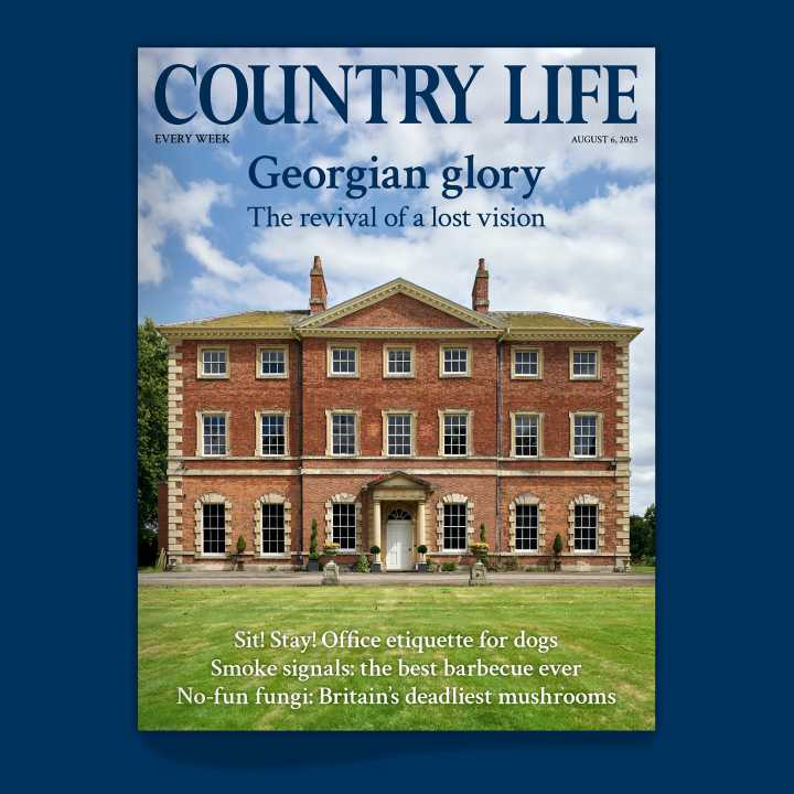 Country Life August 6 2025