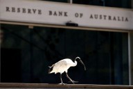 Analysis-RBA's new policy board comes with added unpredictability