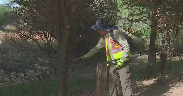 Volunteers step up to reduce fire danger in Folsom amid another heat wave