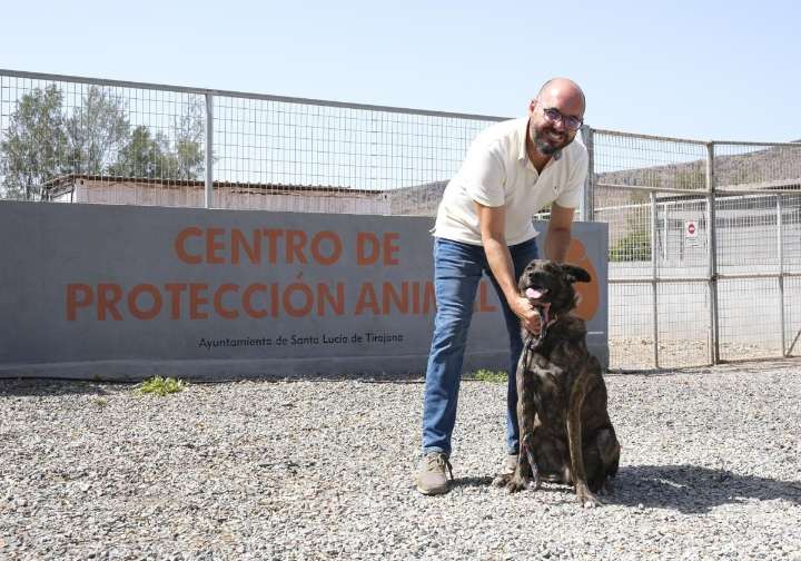 Día Internacional del Animal Sin Hogar: «En dos meses hemos acogido 40 mascotas abandonadas»