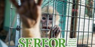 Tráfico de especies en Cajamarca: capacitan zoológicos para mejorar el cuidado de animales rescatados