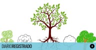 Qué revela sobre tu personalidad la forma que tengas de dibujar un árbol según la psicología