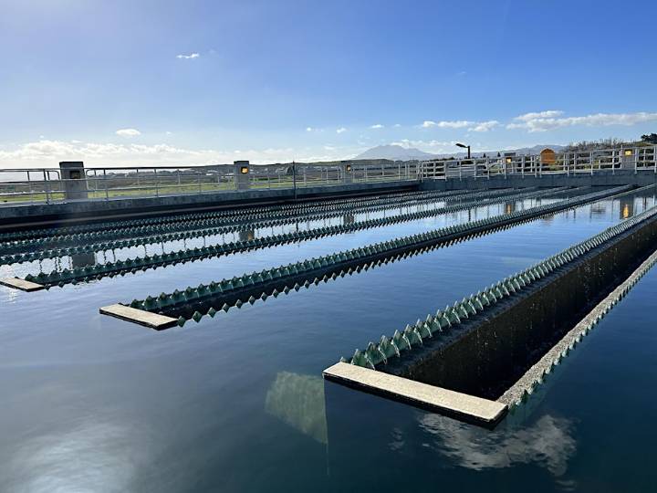 Contra Costa Water District Hosting Two FREE Public Tours This Fall – All-Day Bus Tour From The Delta To Your Drinking Water & Water Treatment Plant And Pacheco Marsh Tour