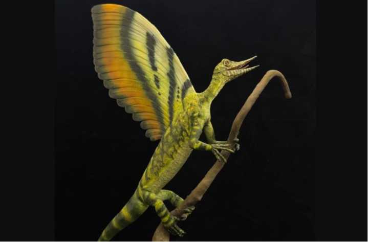 Descubrimiento de reptil del Triásico con cresta dorsal desafía la teoría evolutiva de estos animales