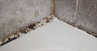 'Amazing' tip to remove mould from silicone sealant in 10 minutes